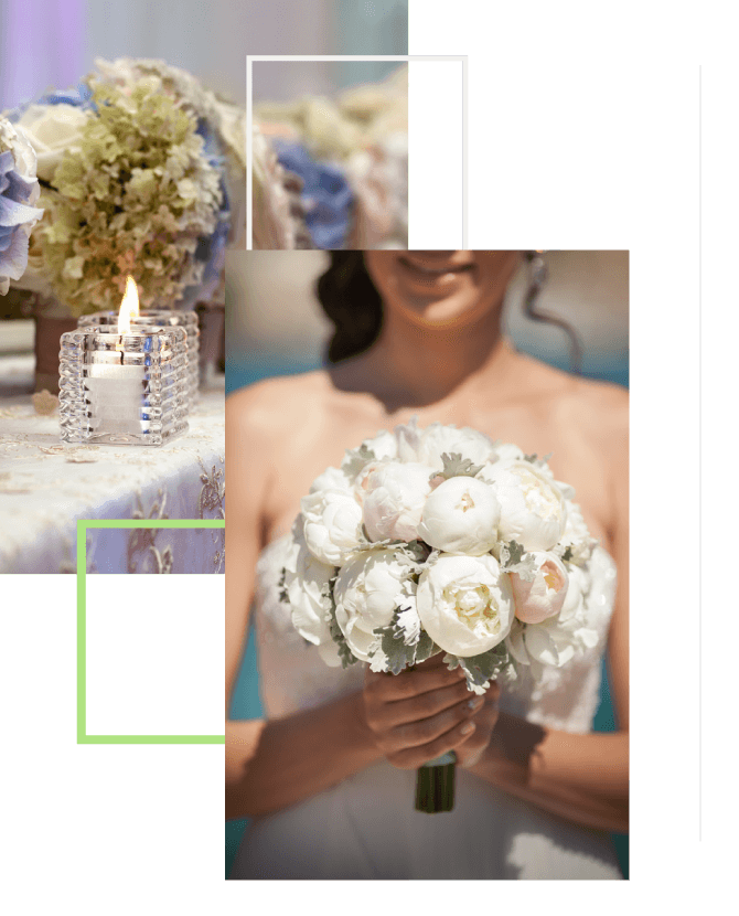Fiori e Idee Marilena | Floral design - Fiori e Piante Cortona e Camucia